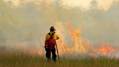 Фейерверком спалили лес в Греции: среди задержанных граждан Казахстана нет, сообщили в МИД