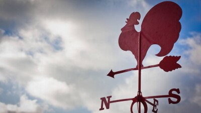 Не парковаться под деревьями 7 апреля посоветовали алматинцам