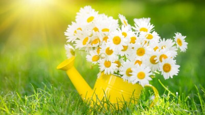 Весна в Алматы наступит рано – Казгидромет