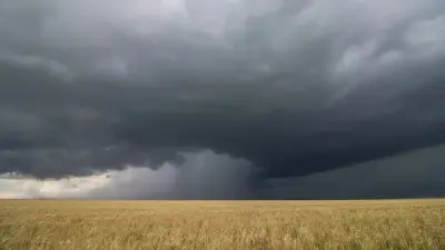 Погода затруднит уборку урожая на севере и в центре Казахстана в сентябре
