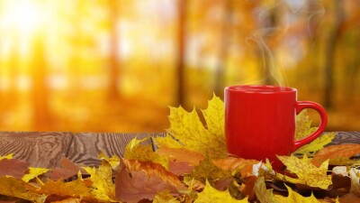 Похолодание прогнозируют на юге Казахстана