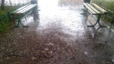 Осадки и штормовой ветер прогнозируют в Казахстане