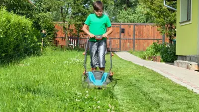 Летняя подработка подростков в Казахстане: что нужно знать