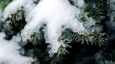 Дождь и снег прогнозируют синоптики на юге и западе Казахстана