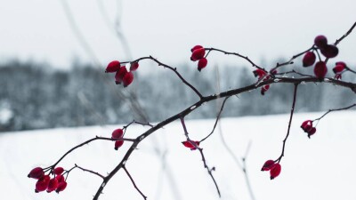 20-градусные морозы возвращаются в Казахстан