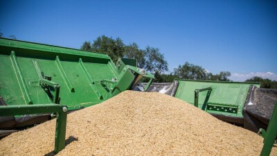 Смаилов: Казахстанцы не останутся без хлеба, хотя погода испортила часть урожая