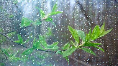 Холодная дождливая погода сохранится в Казахстане