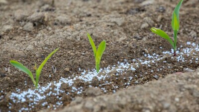 Казахстанский производитель завысил цену на удобрения и выручил 2,8 млрд тенге