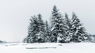 Снег и ночные морозы до -28 градусов ожидаются на выходных в Казахстане