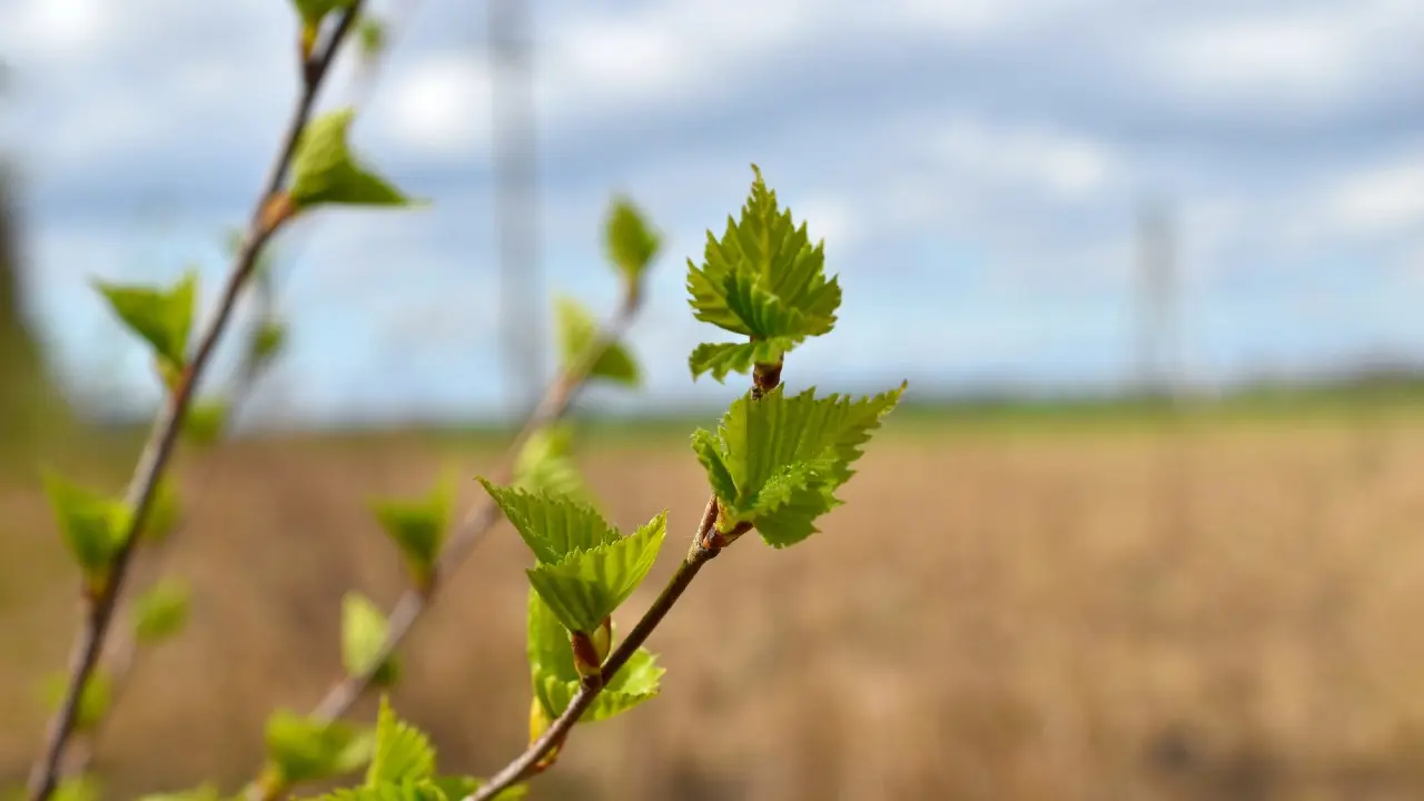 Фото Depositphotos.com