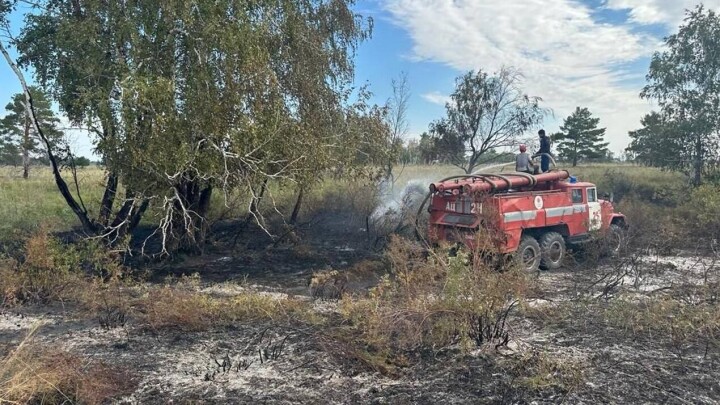 Лесной пожар площадью более 800 га ликвидировали в Наурзумском заповеднике