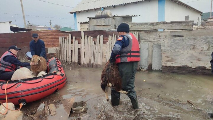 Большая вода придёт в Петропавловск до 27 апреля