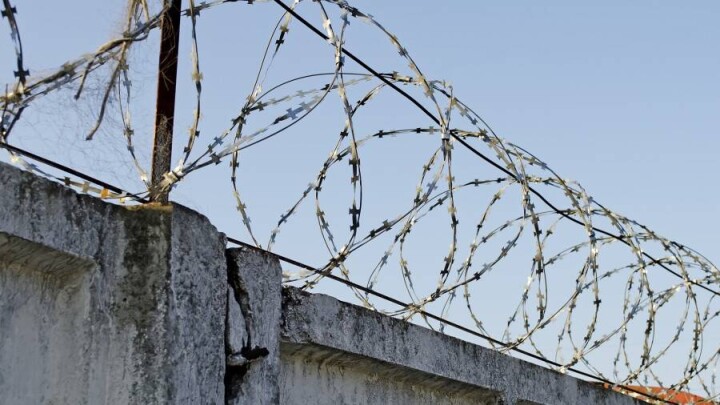 Построить забор на границе с Россией предлагают в Финляндии