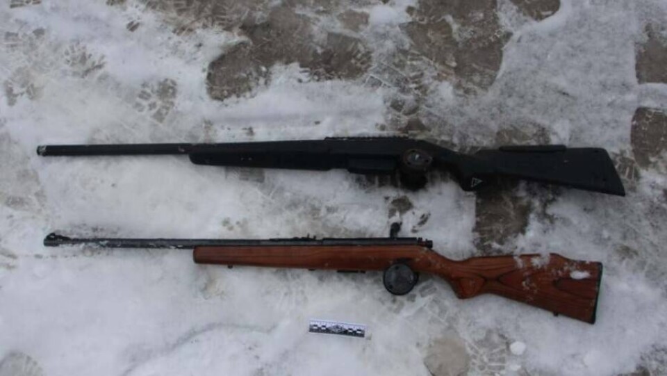 Украденные из магазина в Алматы ружья нашли в пригороде