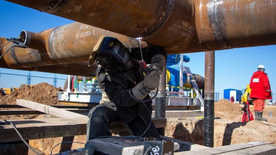 Продажи отечественной нефти в Казахстане упали в два раза за год