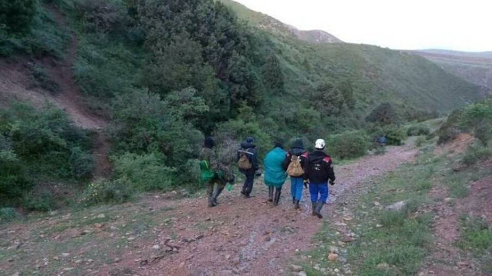 Четверо туристов заблудились из-за тумана в горах Туркестанской области