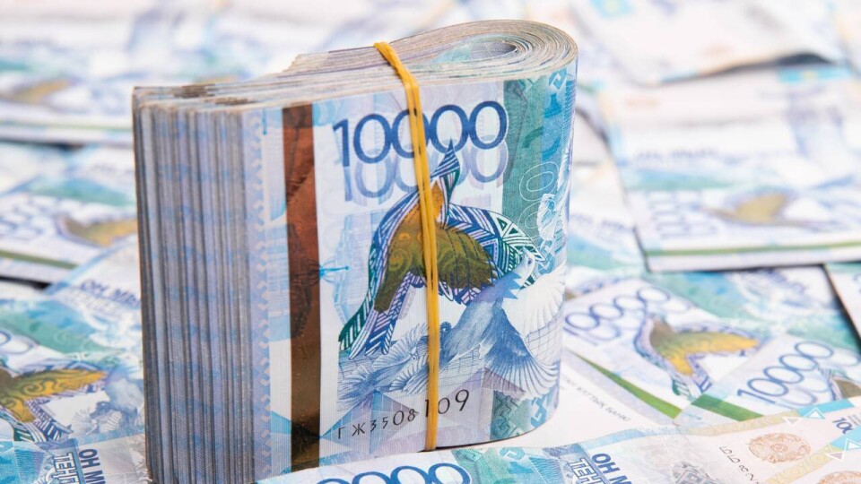 Меняли целевое назначение: землевладельцы не заплатили государству 1,5 млрд тенге в Алматинской области