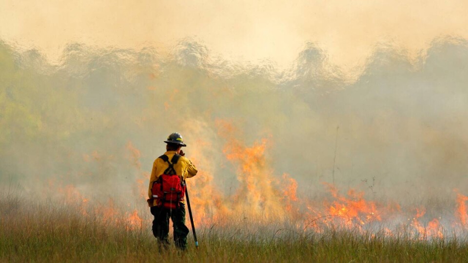1,2 млрд тенге выделят Минэкологии из резерва правительства на предотвращение лесных пожаров