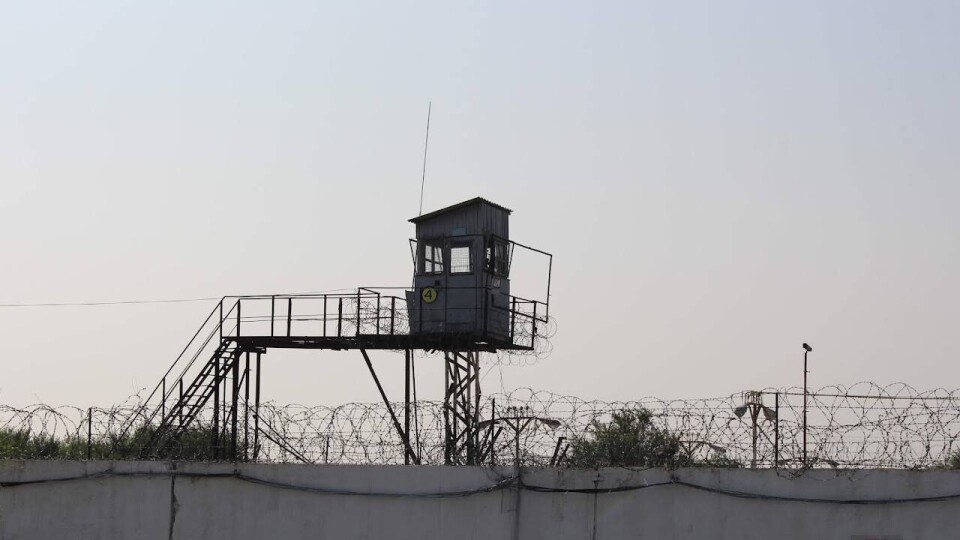 Двое жителей Семея получили длительные сроки за пропаганду терроризма среди знакомых