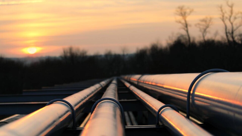Сколько казахстанской нефти отправили за границу в этом году