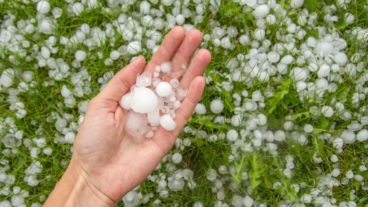 Фото Depositphotos.com