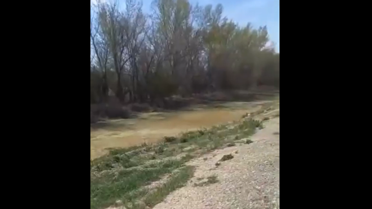 Кадр видео очевидца