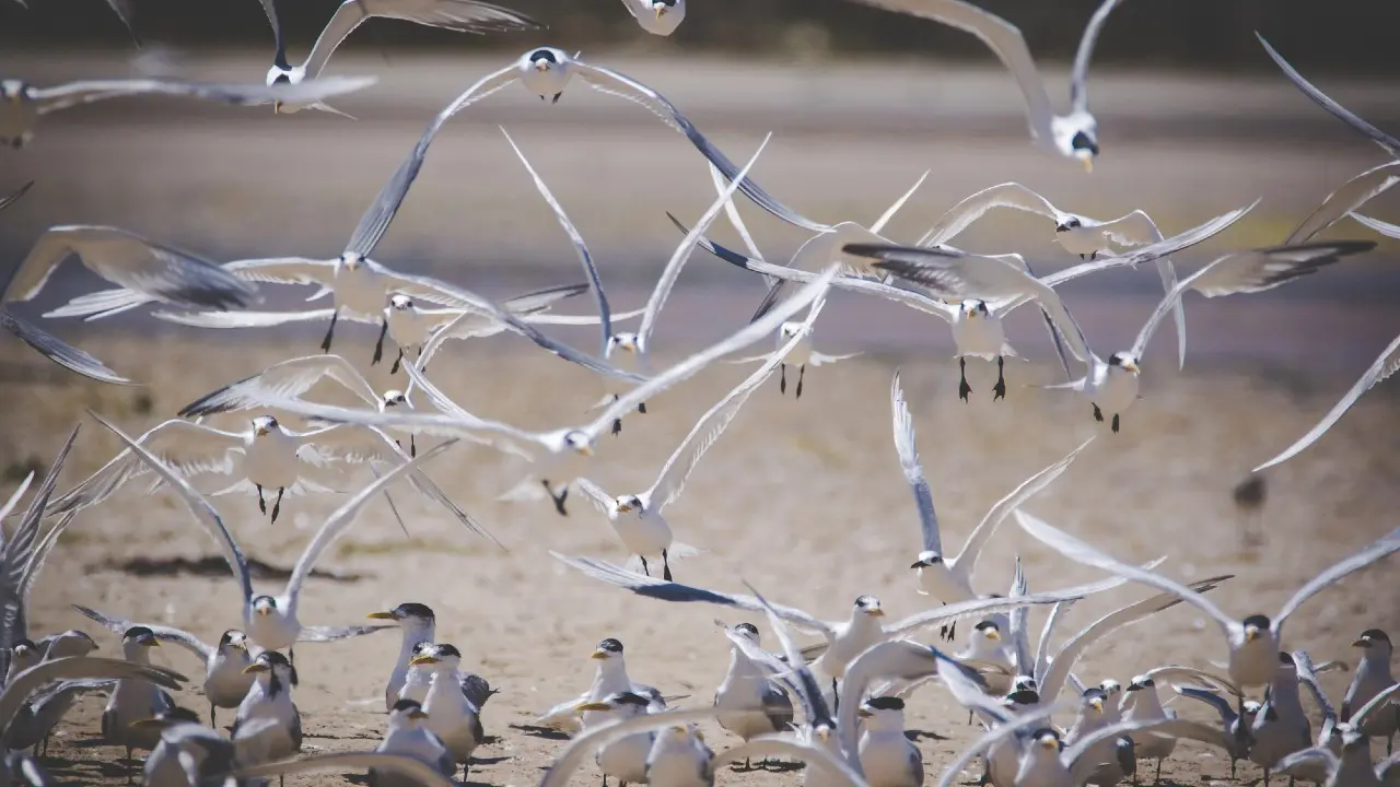 Фото Depositphotos.com