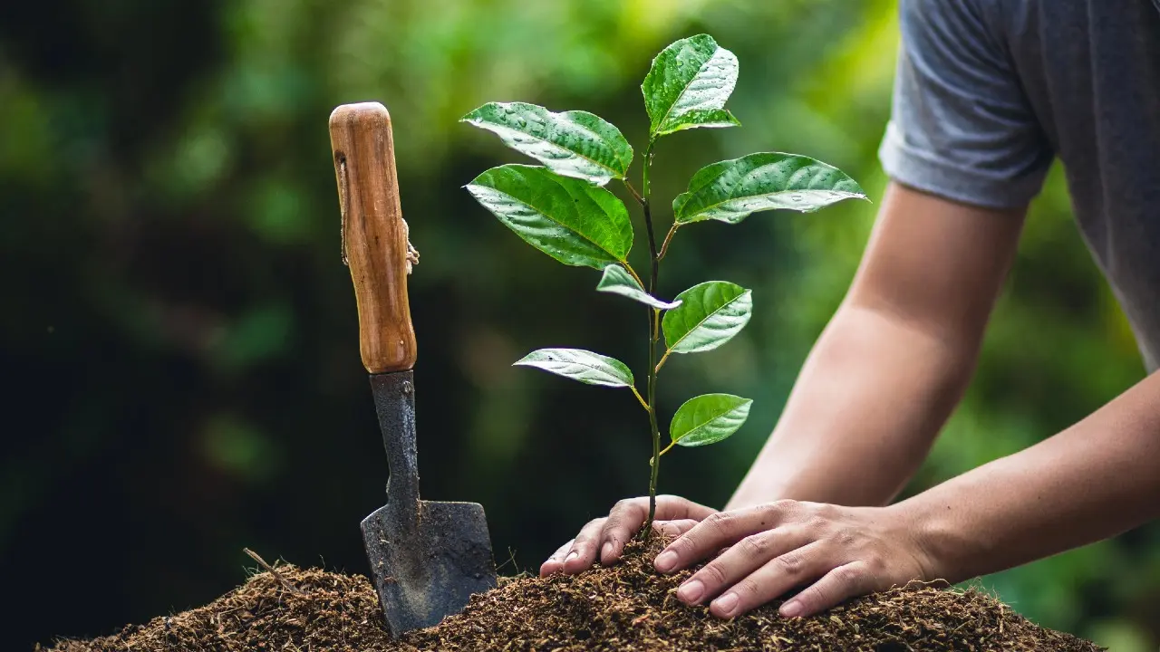 Фото Depositphotos.com