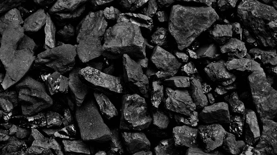 Фото: Adam88xxx / Depositphotos