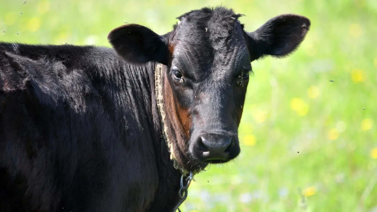 Фото Depositphotos.com