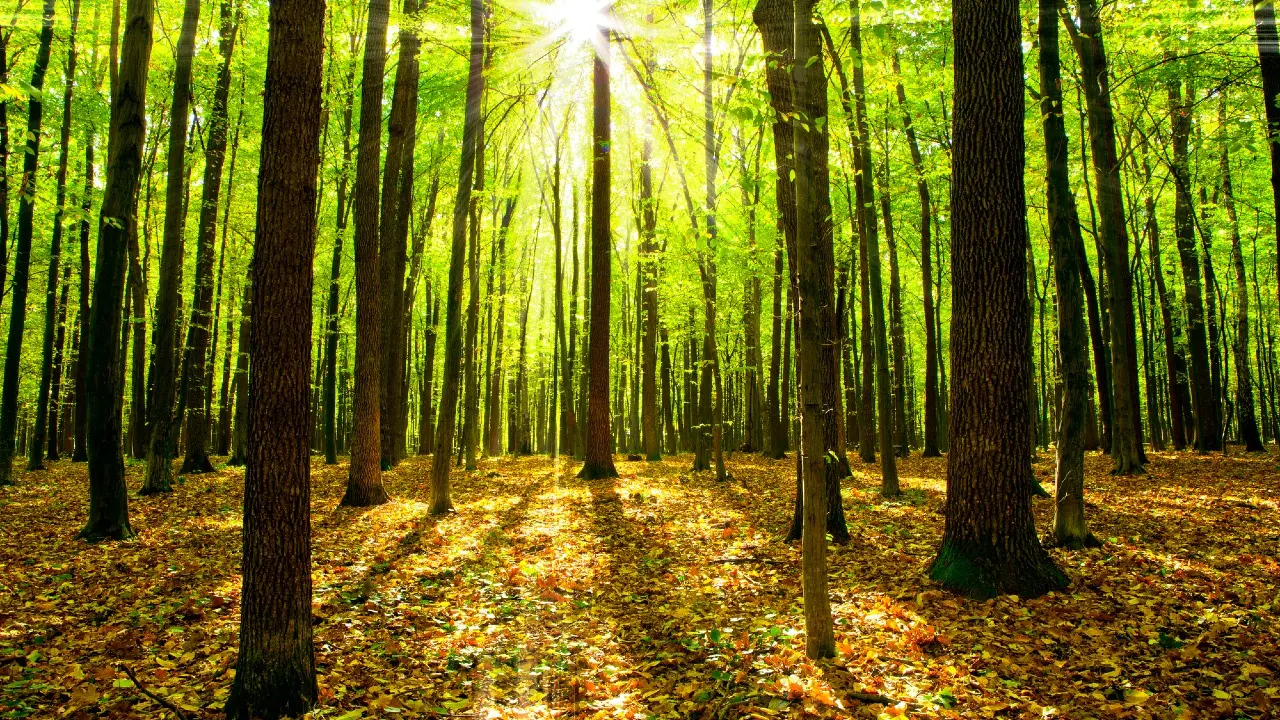 Фото Depositphotos.com