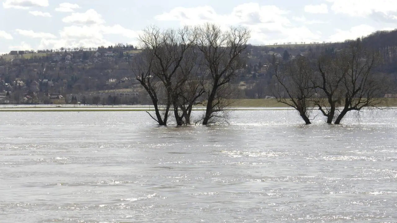 Чиновника осудили за прорыв плотины, повлёкший массовую эвакуацию в Актюбинской области