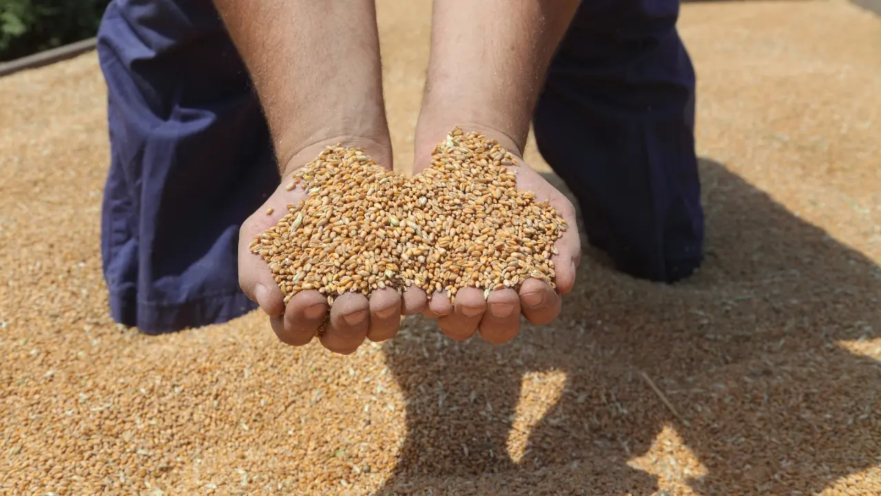 Фото Depositphotos.com