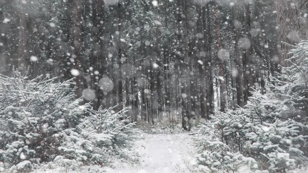 Метели и гололёд прогнозируют на выходных в Казахстане