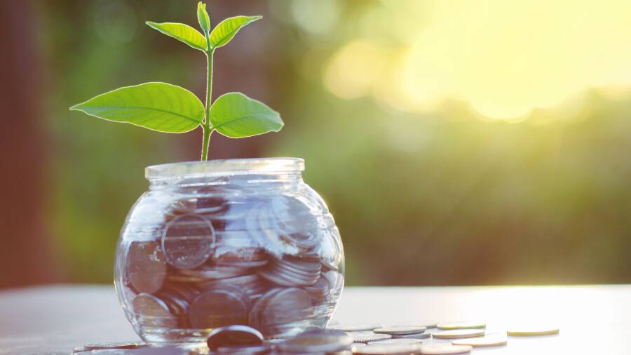 Фото: singkham / Depositphotos