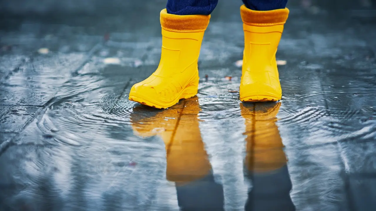 Фото Depositphotos.com