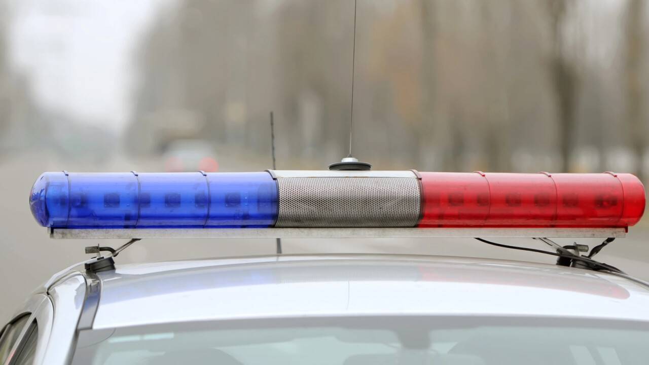 76 щеглов успел поймать в Акмолинской области задержанный астанчанин
