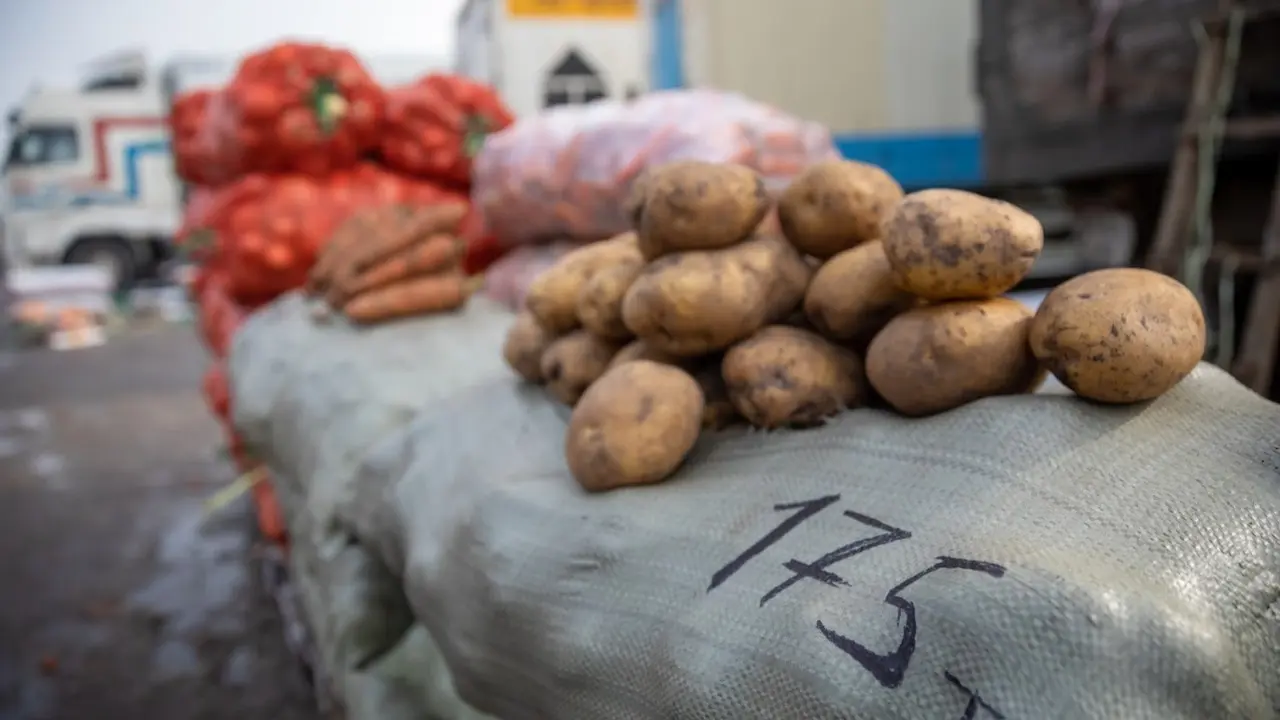 Продали картофель не через биржу: 69 протоколов составили на бизнесменов Карагандинской области