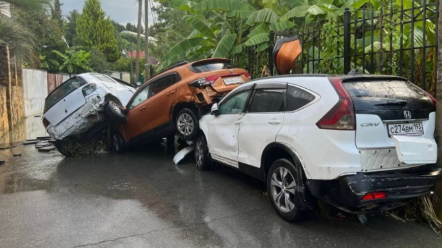 Фото Krddtp1 / T.me