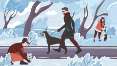 Какие правила и законы нужно знать об уходе за домашними животными, чтобы не заработать штраф