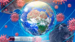 Угрожает ли нам пандемия? История вокруг хантавируса показывает, насколько хрупок баланс между человеком и окружающей средой