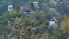 В каких условиях живут люди на дачах близ Алматы