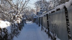Прогноз погоды на 23 января: морозы отступают, но частично