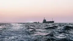 Застрявшие в Персидском заливе суда могут разнести по всему миру опасные инвазивные виды водорослей и беспозвоночных