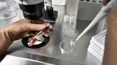 Звёздные казахстанцы. Реальные истории детей, рождённых при помощи ЭКО