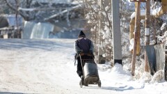 Зачем дачные массивы Алматинской области включают в состав населённых пунктов