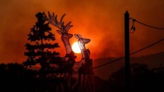 Самый жаркий год в истории. Глобальное потепление уверенно продолжается в 2024 году после рекордного 2023-го