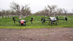 Как повышать урожайность сельхозкультур и не вредить окружающей среде – эксперты