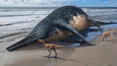 В Англии нашли кости крупнейшего морского динозавра. Он был длиннее, чем два автобуса