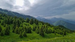 Прогноз погоды на 25 июля: грозы и град на западе, жара – на юге Казахстана